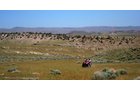 Property photo 25 - 92,312+/- Acres Offered in 14 Tracts